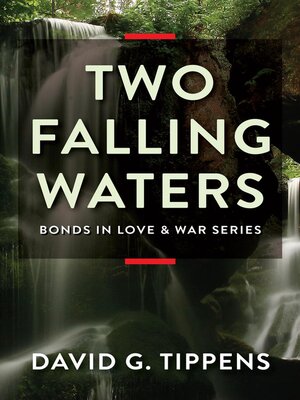 cover image of Two Falling Waters